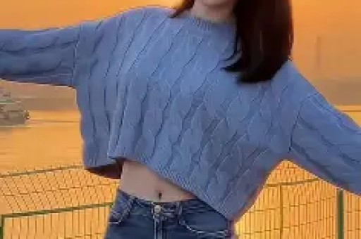 偷逃税款